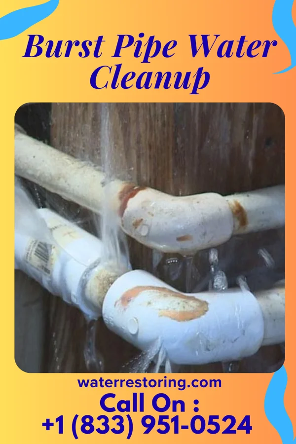 Burst Pipe Water Cleanup in Rainier, WA