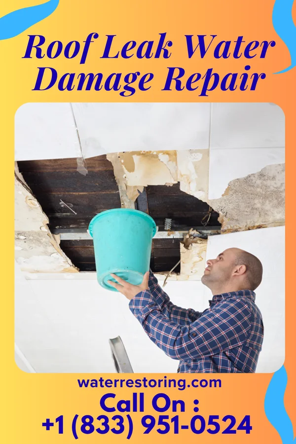 Roof Leak Water Damage Repair in Rainier, WA