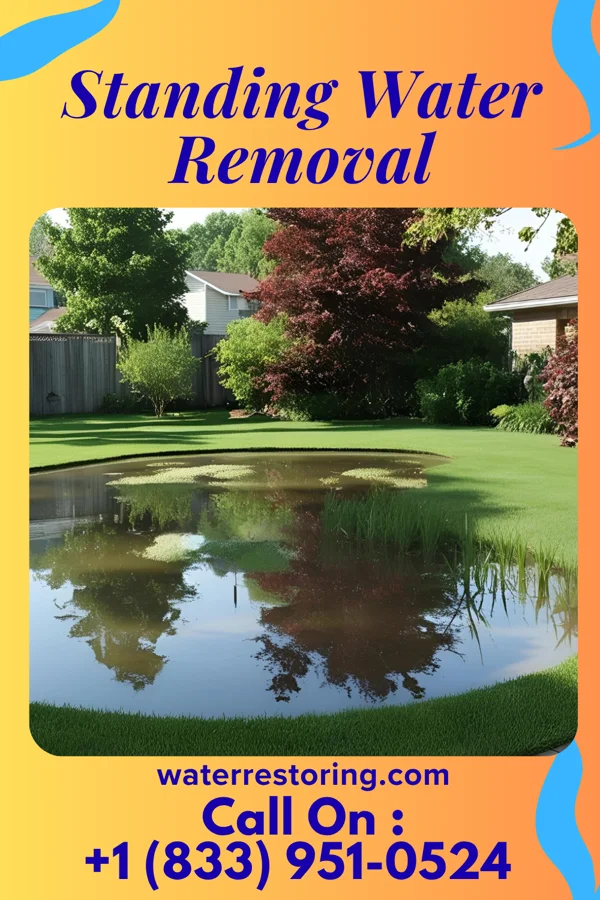 Standing Water Removal in Rainier, WA